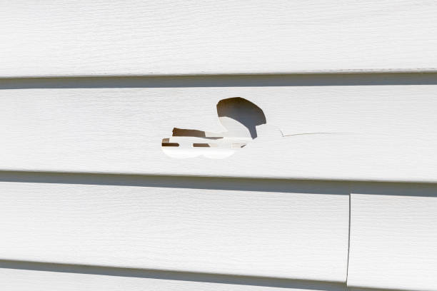 Trusted Goldendale, WA Siding Installation & Repair Experts